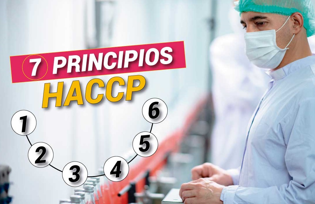 Los 7 principios del sistema HACCP según el Codex Alimentarius